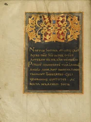 Verziertes Monogramm VD